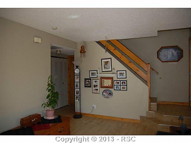 9875 Mountain Road Cascade, CO 80809 - Photo 14 of 18