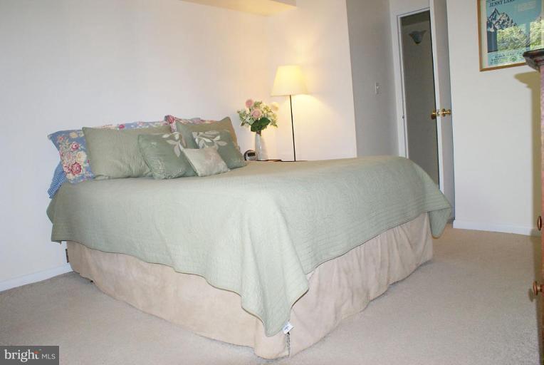 2249 Castle Rock Square, Unit 12C Reston, VA 20191 - Photo 8 of 14 Master Bedroom