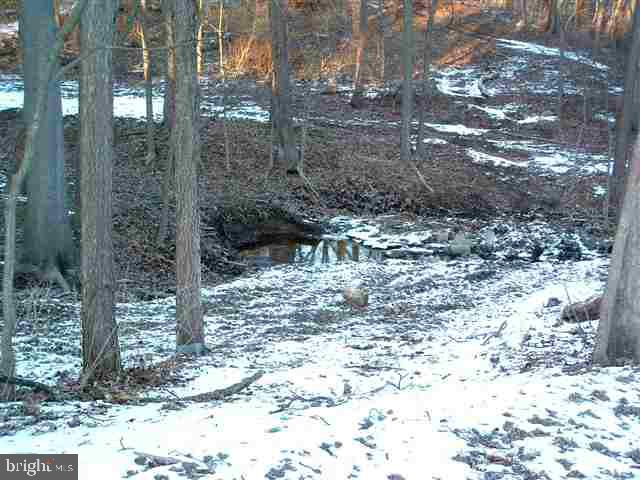 263 Longs Gap Road Carlisle, PA 17013 - Photo 9 of 12 Gallery Image 9