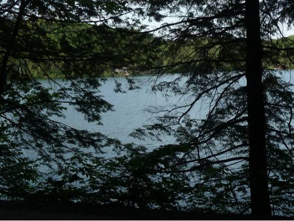 Nelson Pond Road Calais, VT 05648 - Photo 1 of 1