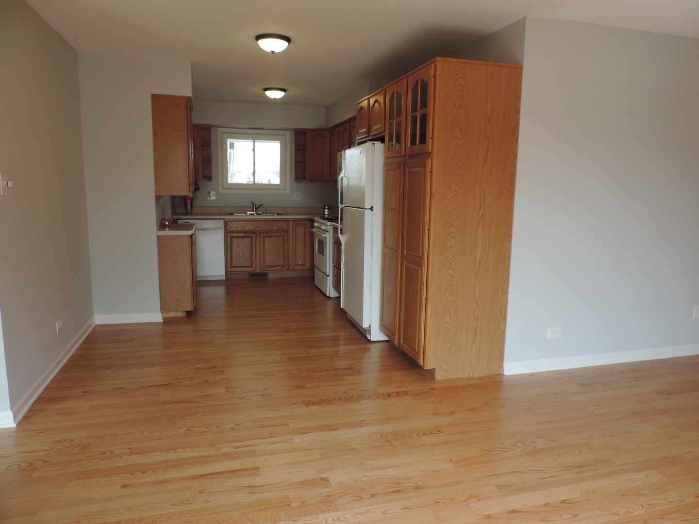 1138 Rhodes Court, Unit 1138 Wheaton, IL 60189 - Photo 3 of 16