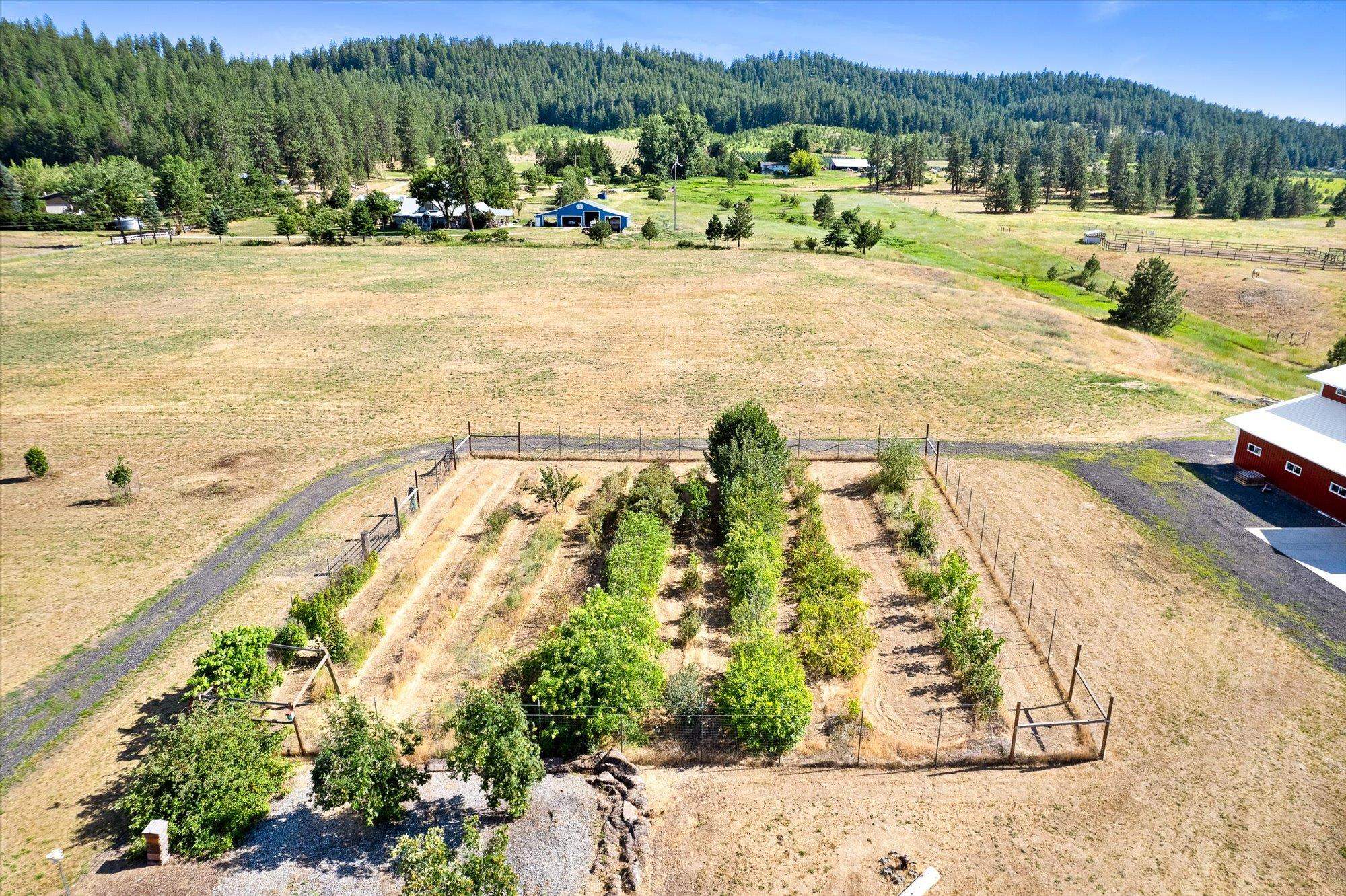 7619 West Woolard Road Deer Park, WA 99006 - Photo 33 of 50 Gallery Image 33