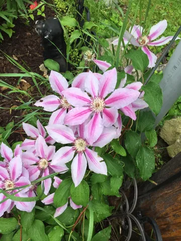 $249,000 | 2707 Upper Plains Road, Salisbury, VT 05769