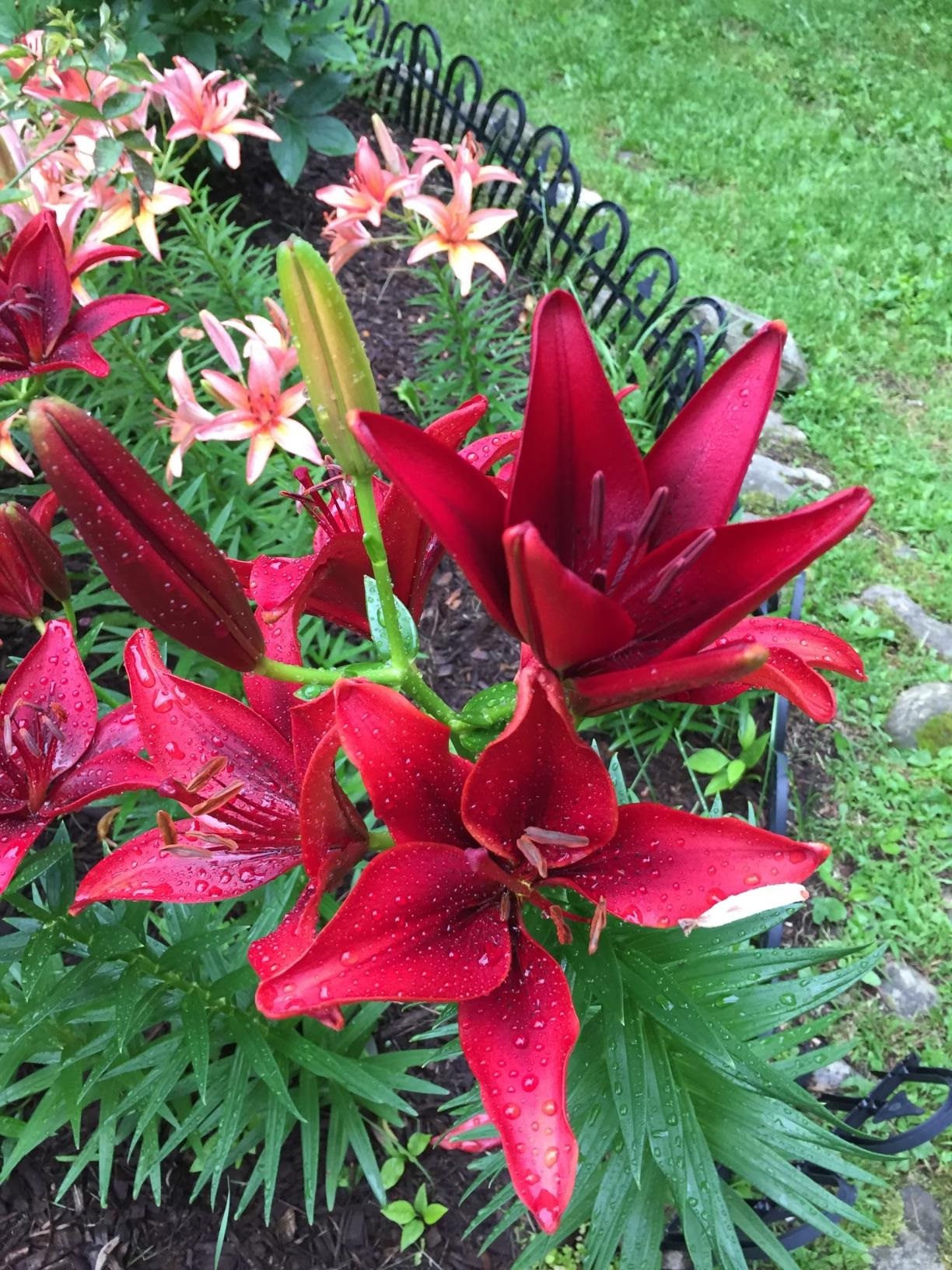 2707 Upper Plains Road Salisbury, VT 05769 - Photo 24 of 27