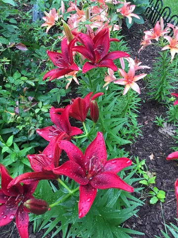 $249,000 | 2707 Upper Plains Road, Salisbury, VT 05769