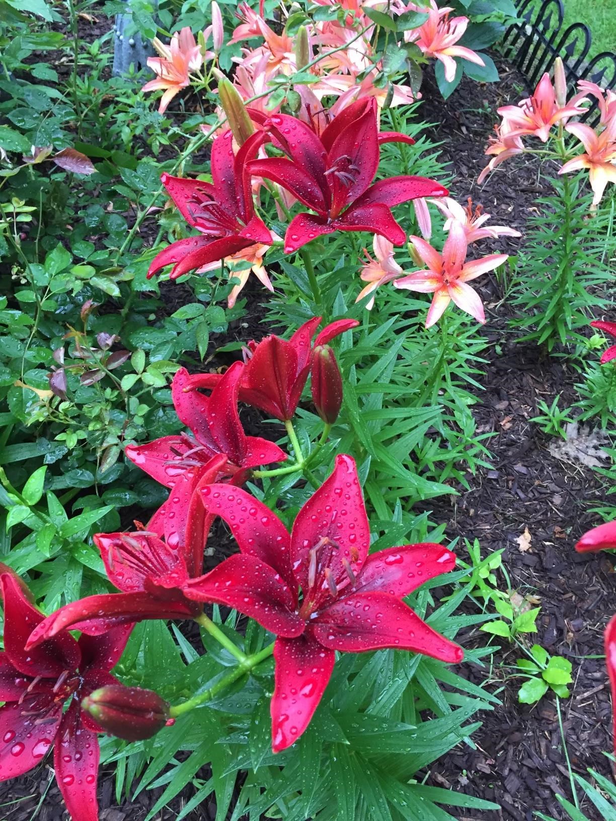 2707 Upper Plains Road Salisbury, VT 05769 - Photo 25 of 27