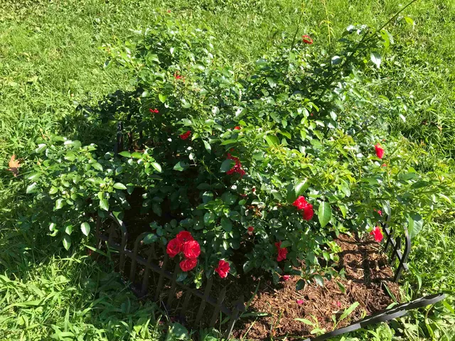 $249,000 | 2707 Upper Plains Road, Salisbury, VT 05769