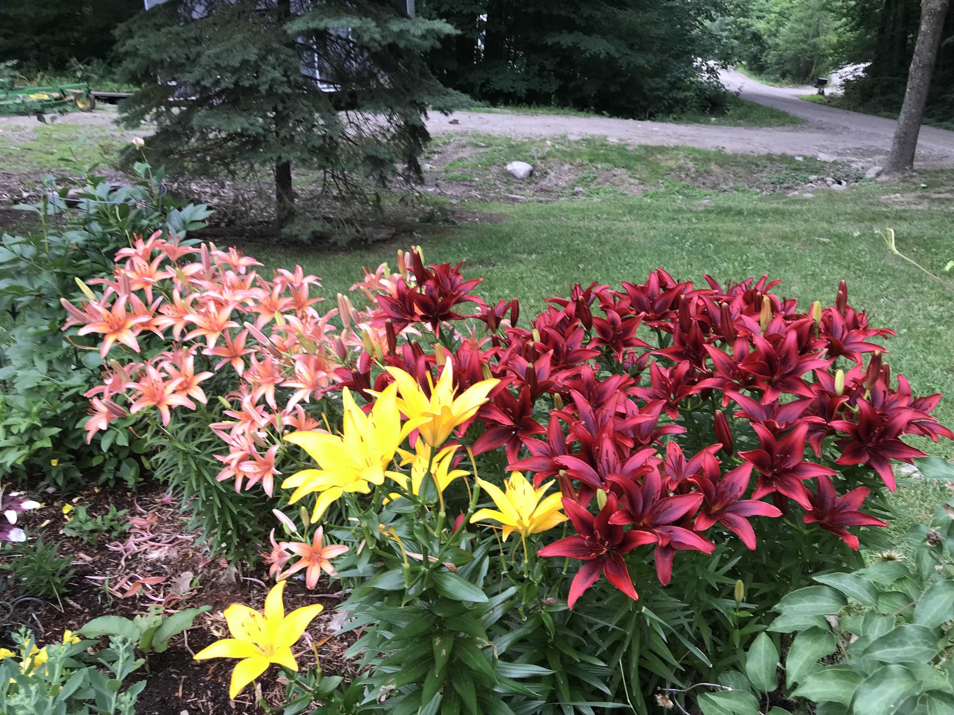 2707 Upper Plains Road Salisbury, VT 05769 - Photo 27 of 27