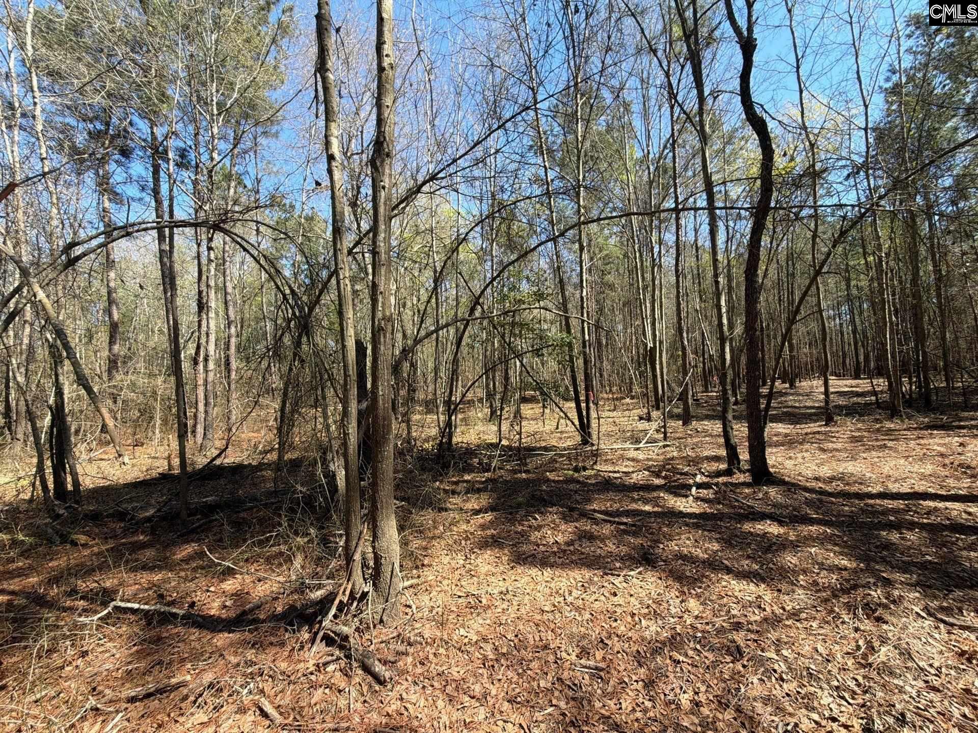 13 Boise Cascade Road, Unit BHL 13 Bethune, SC 29009 - Photo 23 of 31