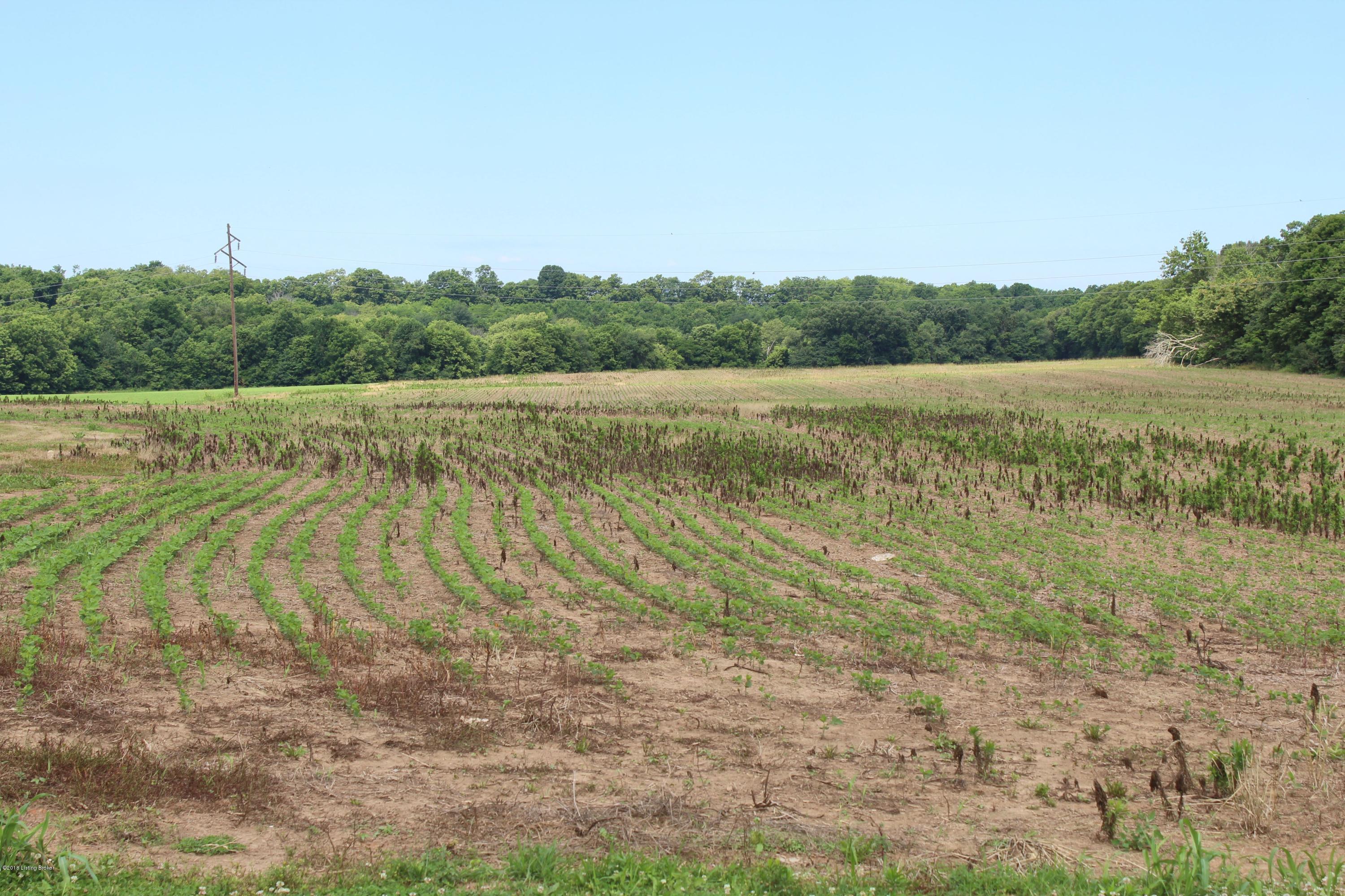 2 Zaring Mill Road Shelbyville, KY 40065 - Photo 1 of 1 view
