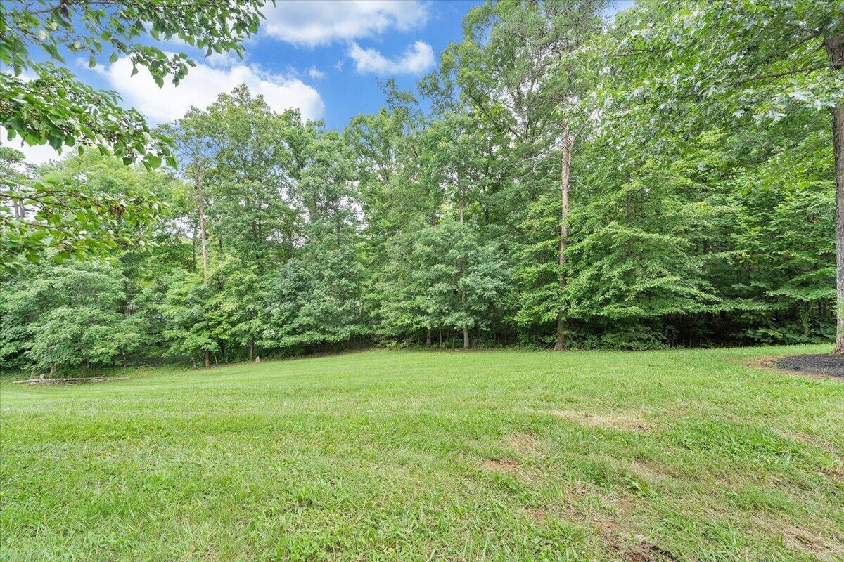 3314 Blue Ridge Boulevard Blue Ridge, VA 24064 - Photo 44 of 53 38-MIB04870