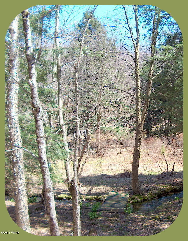 156 3 Legged Swamp Road Canadensis, PA 18325 - Photo 56 of 72