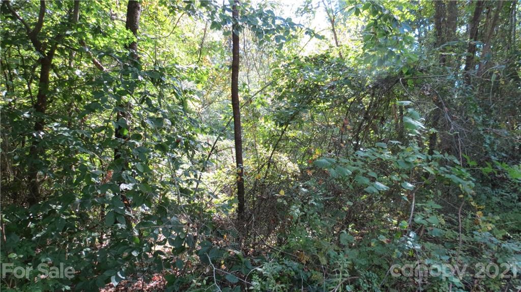 105 Turkey Roost Road, Unit 105 Rutherfordton, NC 28139 - Photo 11 of 19 Gallery Image 11