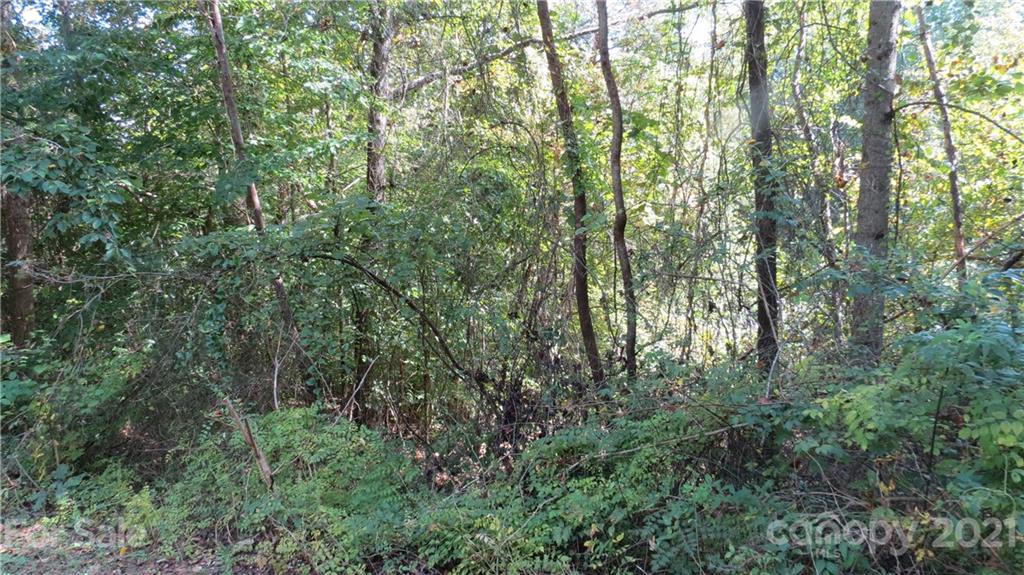105 Turkey Roost Road, Unit 105 Rutherfordton, NC 28139 - Photo 12 of 19 Gallery Image 12