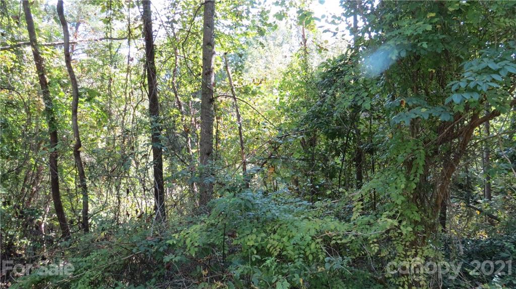 105 Turkey Roost Road, Unit 105 Rutherfordton, NC 28139 - Photo 13 of 19 Gallery Image 13