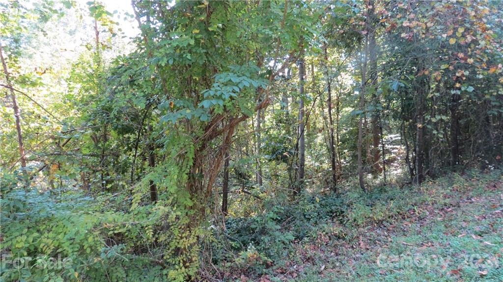105 Turkey Roost Road, Unit 105 Rutherfordton, NC 28139 - Photo 14 of 19 Gallery Image 14