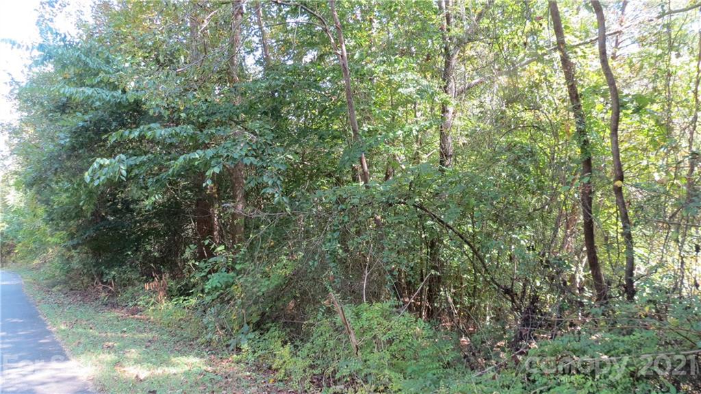 105 Turkey Roost Road, Unit 105 Rutherfordton, NC 28139 - Photo 15 of 19 Gallery Image 15