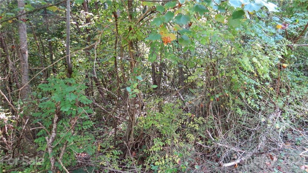 105 Turkey Roost Road, Unit 105 Rutherfordton, NC 28139 - Photo 16 of 19 Gallery Image 16