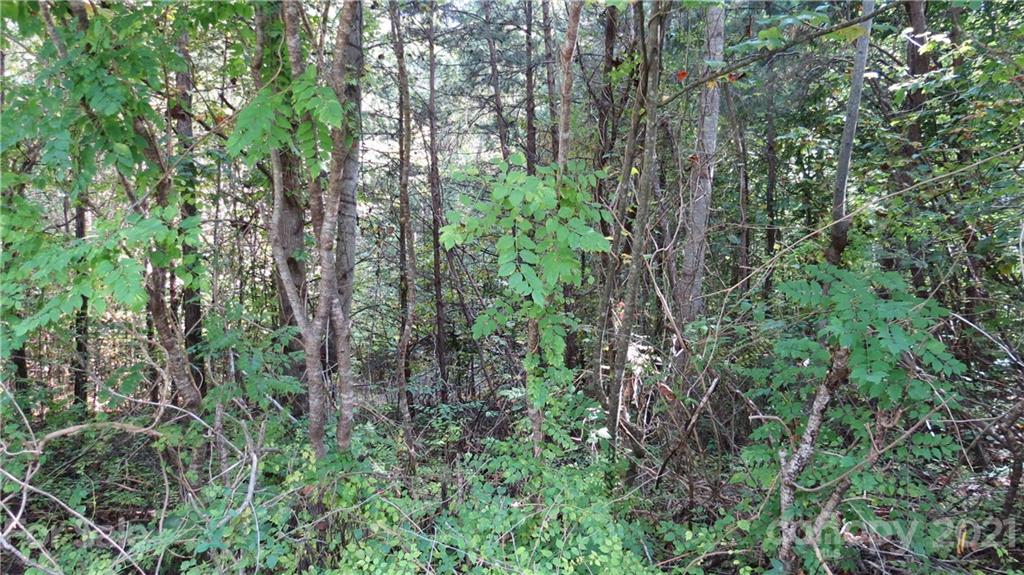 105 Turkey Roost Road, Unit 105 Rutherfordton, NC 28139 - Photo 17 of 19 Gallery Image 17