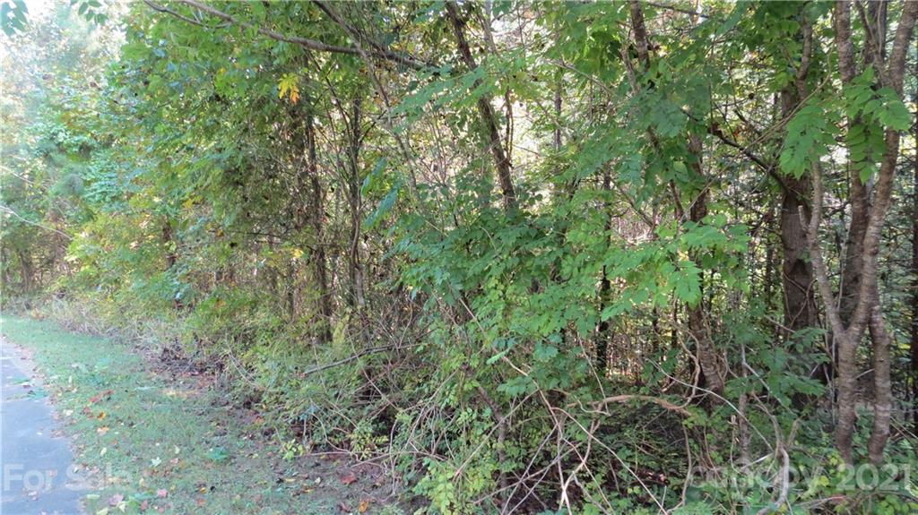 105 Turkey Roost Road, Unit 105 Rutherfordton, NC 28139 - Photo 18 of 19 Gallery Image 18