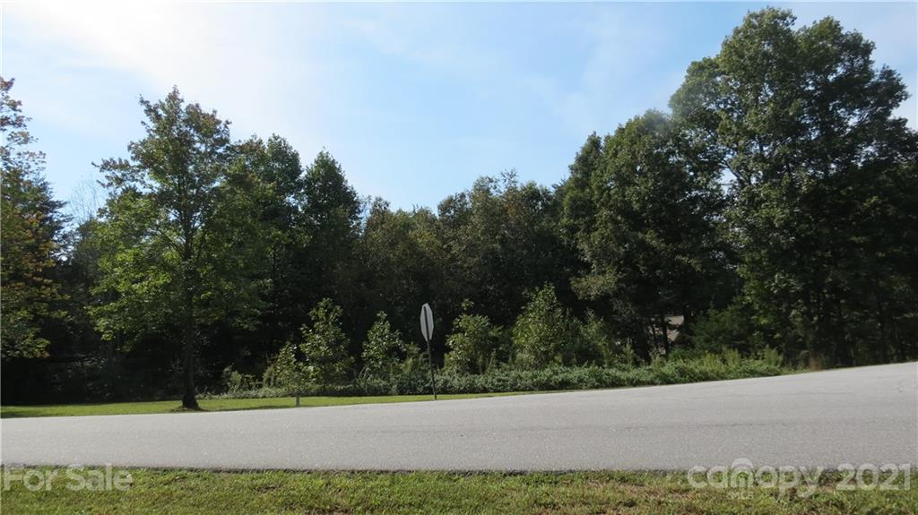 105 Turkey Roost Road, Unit 105 Rutherfordton, NC 28139 - Photo 5 of 19 Gallery Image 5