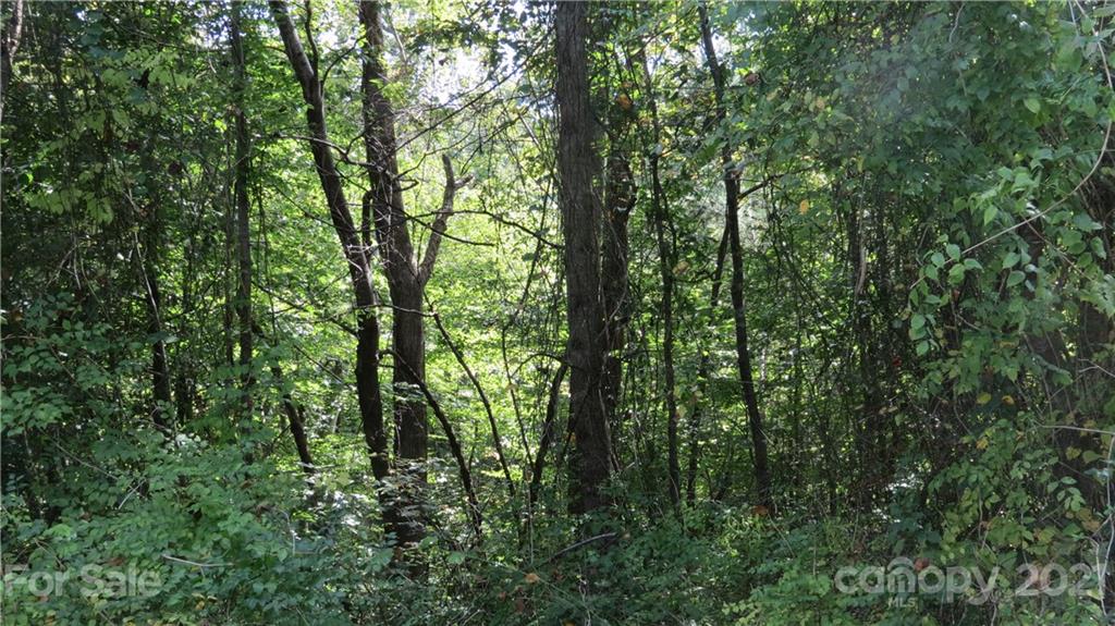 105 Turkey Roost Road, Unit 105 Rutherfordton, NC 28139 - Photo 7 of 19 Gallery Image 7