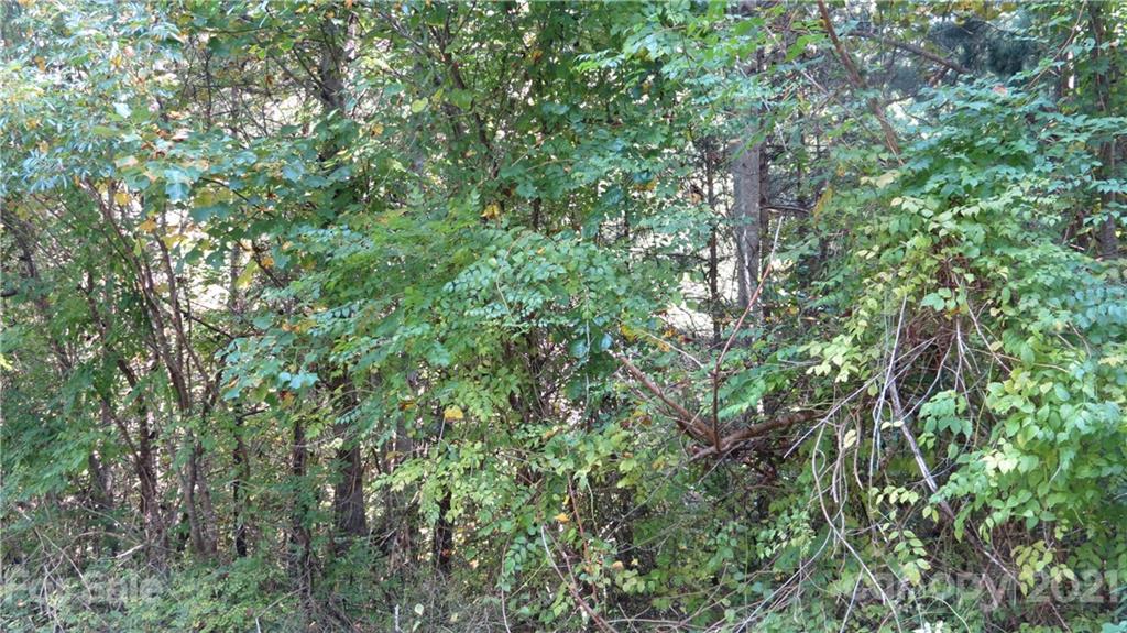 105 Turkey Roost Road, Unit 105 Rutherfordton, NC 28139 - Photo 8 of 19 Gallery Image 8