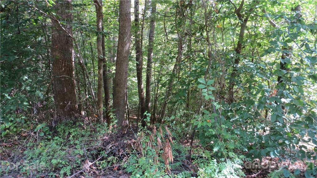 105 Turkey Roost Road, Unit 105 Rutherfordton, NC 28139 - Photo 9 of 19 Gallery Image 9