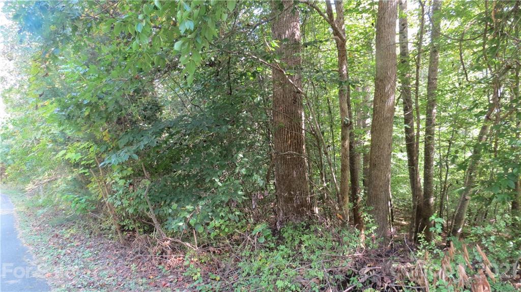 105 Turkey Roost Road, Unit 105 Rutherfordton, NC 28139 - Photo 10 of 19 Gallery Image 10