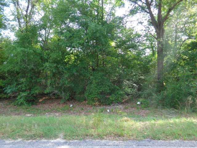 3.2 Lucy Grade Road Ashford, AL 36312 - Photo 1 of 1