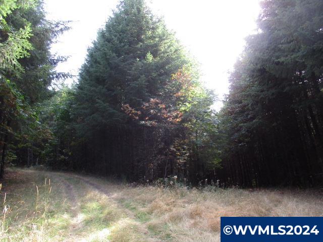 0 Northwest Crane (2) Road Yamhill, OR 97148 - Photo 1 of 7