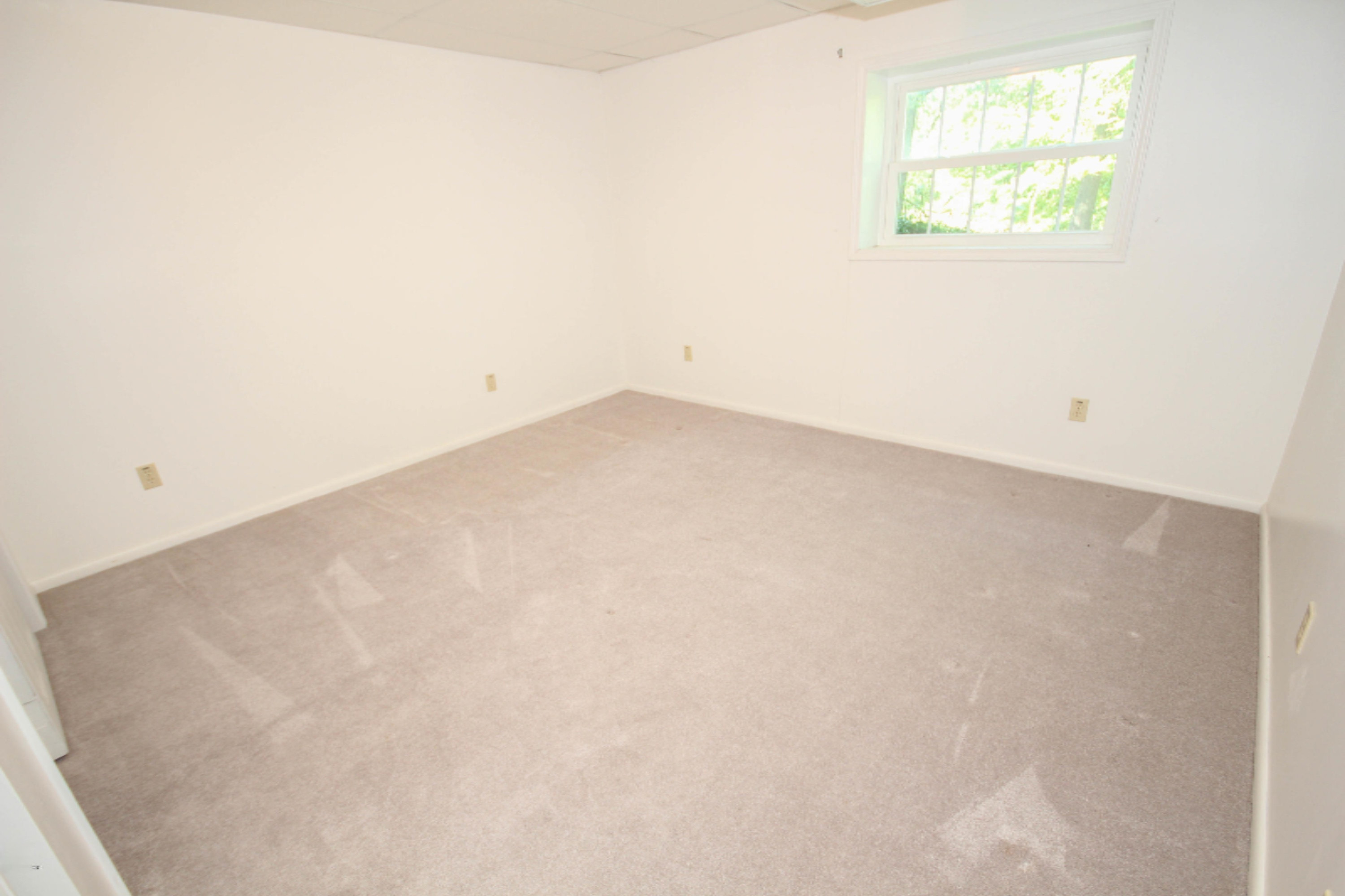 14058 Drummond Road Three Rivers, MI 49093 - Photo 25 of 43 untitled (22 of 39)