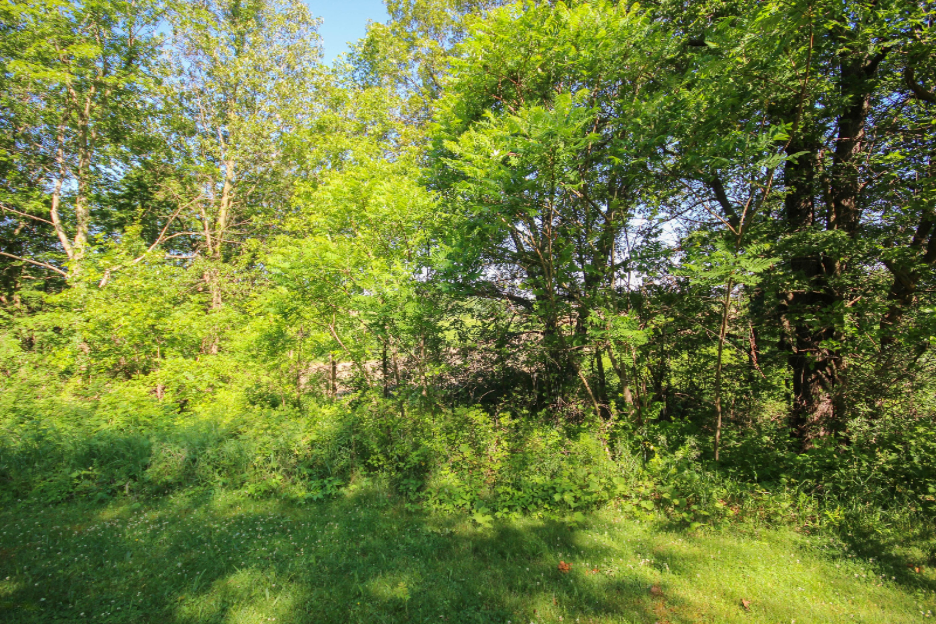14058 Drummond Road Three Rivers, MI 49093 - Photo 27 of 43 untitled (29 of 39)