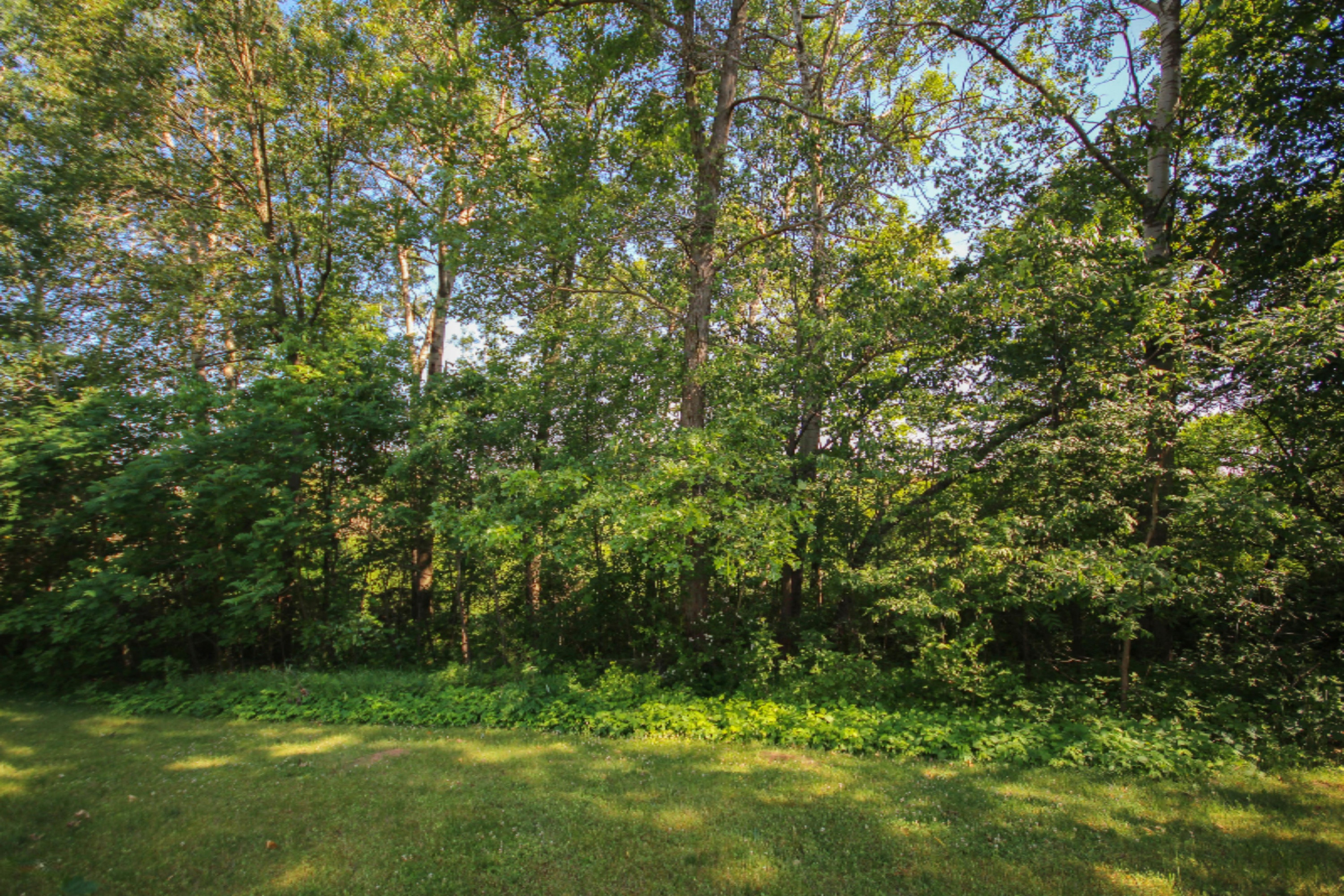 14058 Drummond Road Three Rivers, MI 49093 - Photo 29 of 43 untitled (25 of 39)