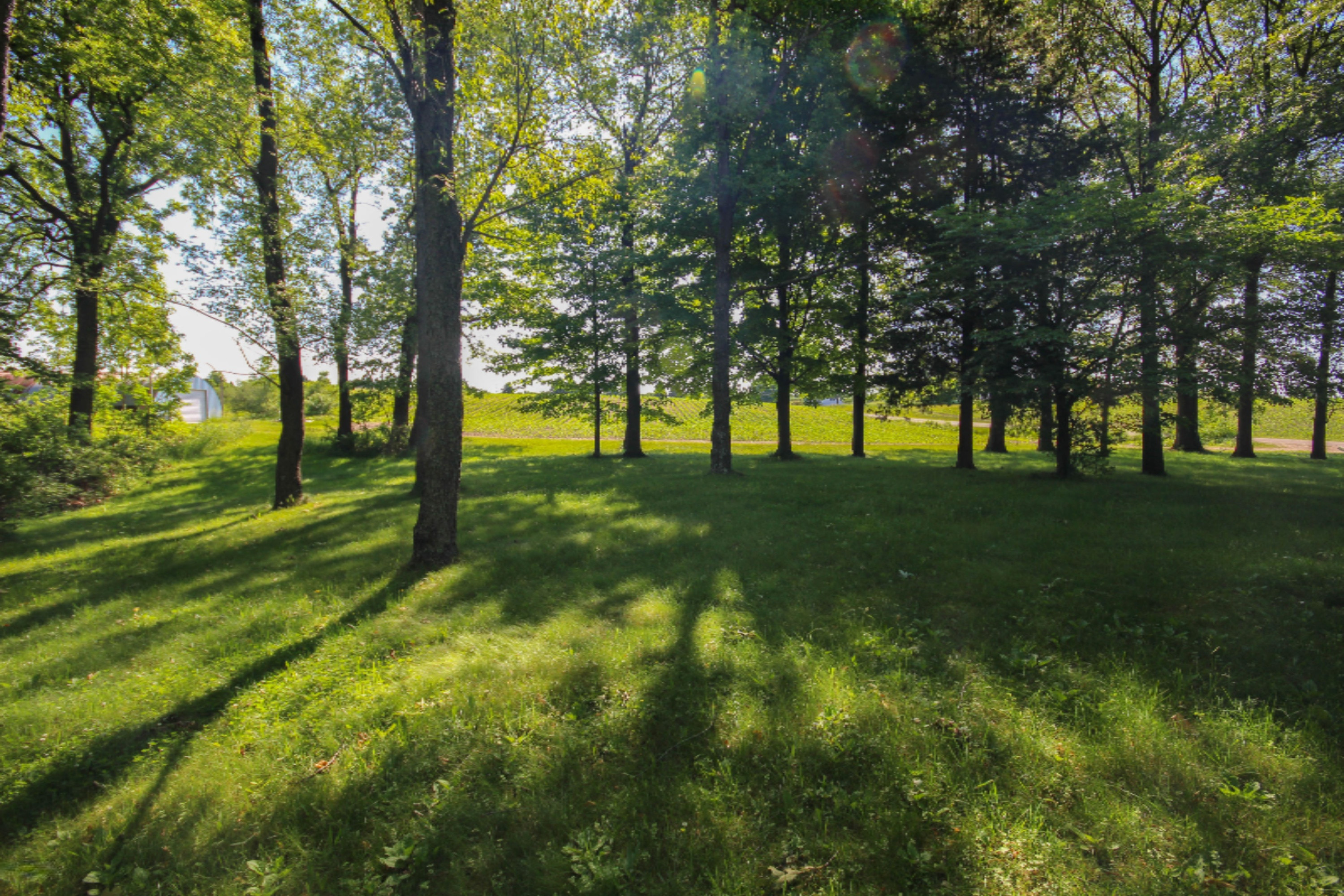 14058 Drummond Road Three Rivers, MI 49093 - Photo 36 of 43 untitled (39 of 39)
