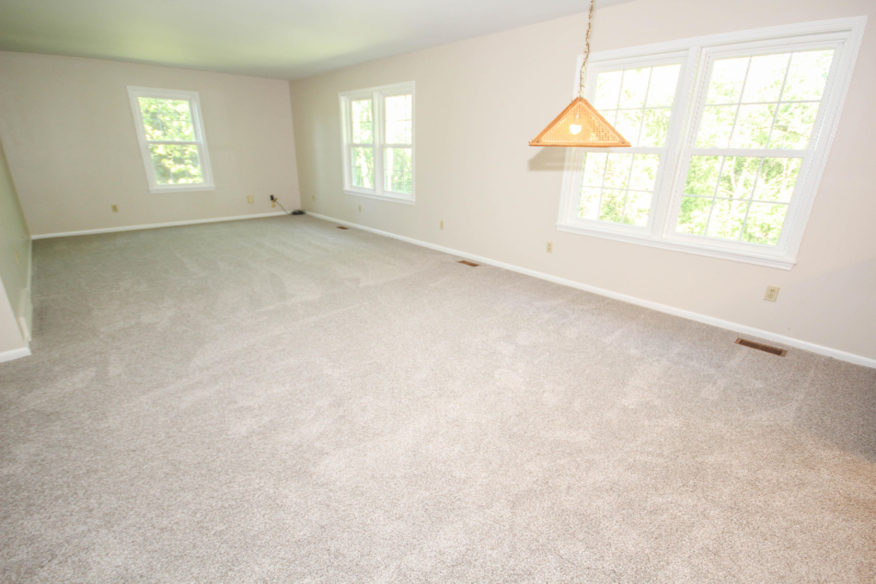 14058 Drummond Road Three Rivers, MI 49093 - Photo 9 of 43 untitled (5 of 39)