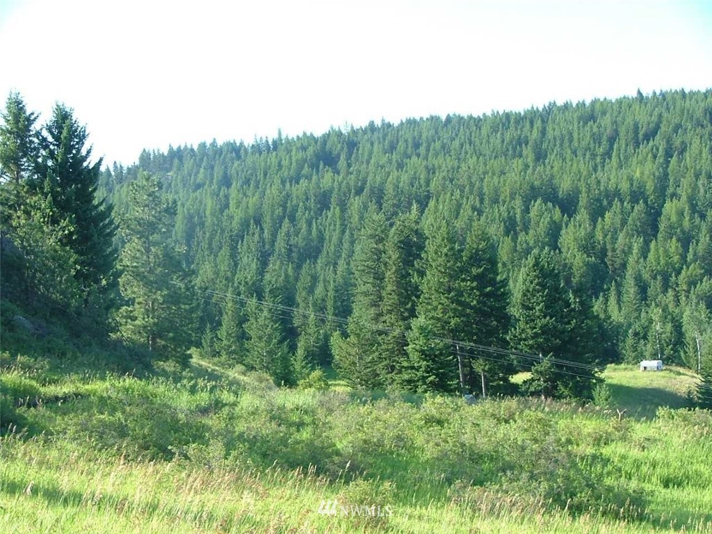 75 Snowshoe Road Oroville, WA 98844 - Photo 1 of 9 Gallery Image 1