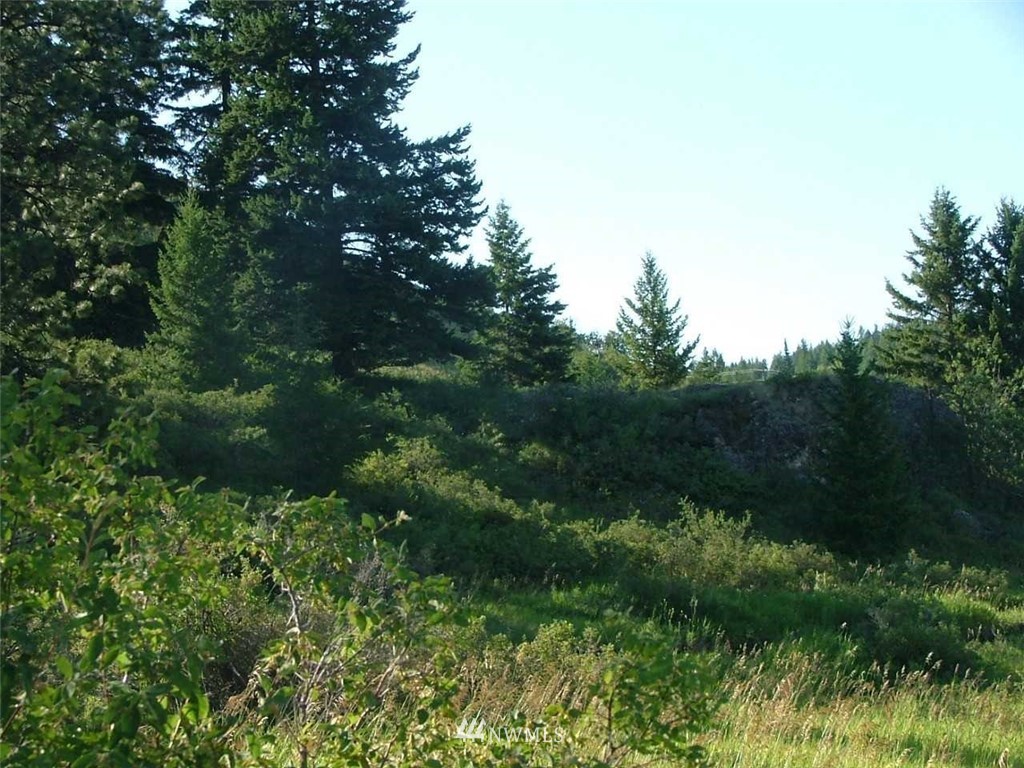 75 Snowshoe Road Oroville, WA 98844 - Photo 2 of 9 Gallery Image 2