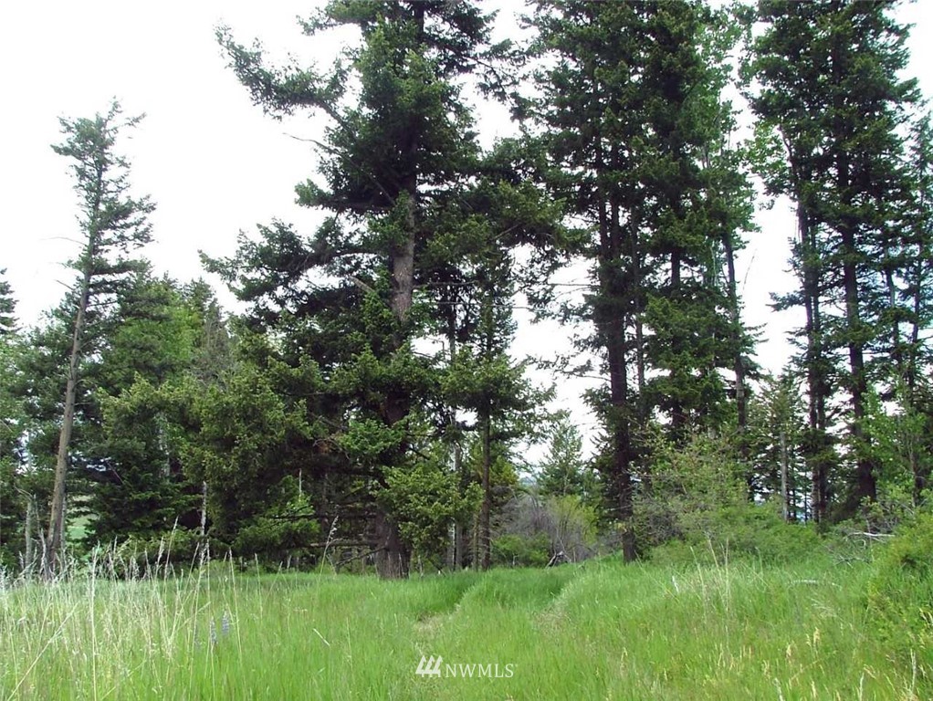 75 Snowshoe Road Oroville, WA 98844 - Photo 6 of 9 Gallery Image 6
