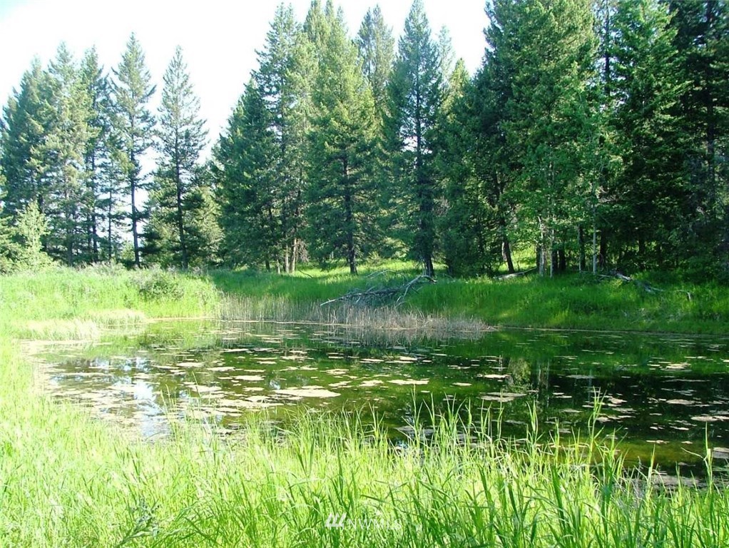 75 Snowshoe Road Oroville, WA 98844 - Photo 9 of 9 Gallery Image 9