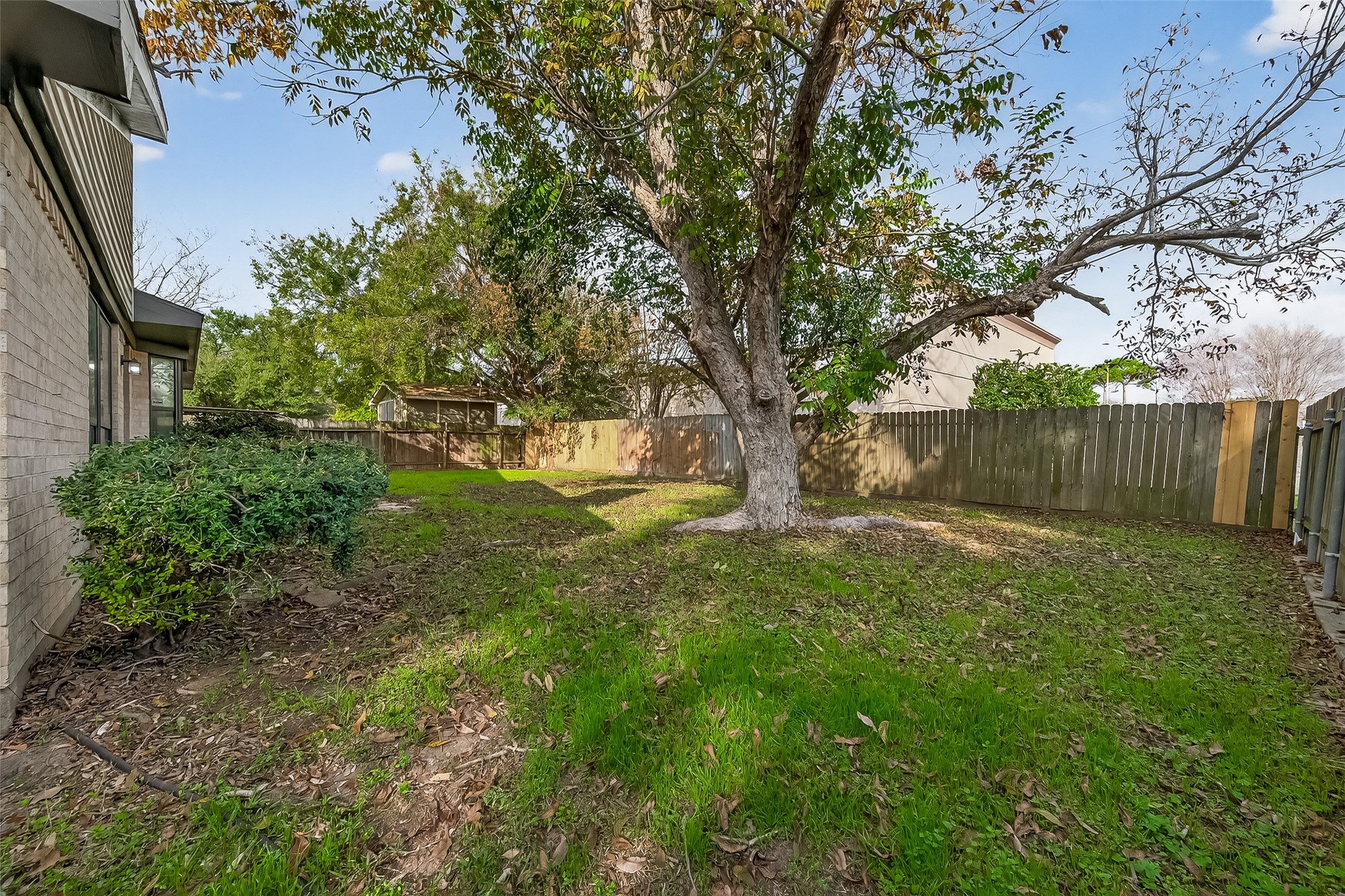 4415 Anacacho Street Pasadena, TX 77504 - Photo 39 of 45 a view of backyard with tree