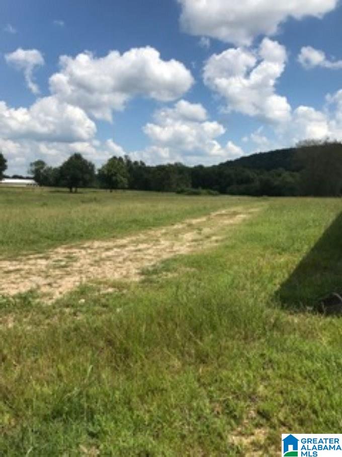 1957 Mineral Springs Road, Unit ACREAGE Pell City, AL 35125 - Photo 6 of 8