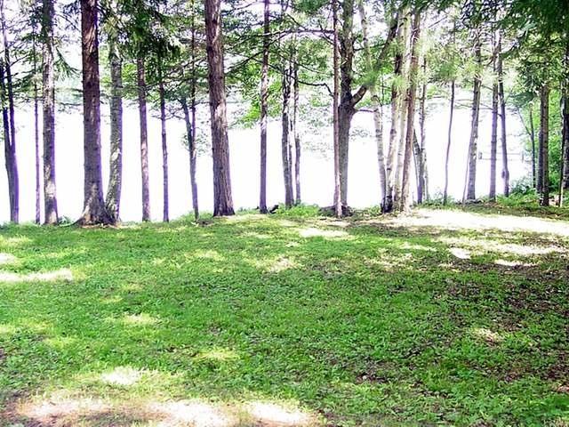 23-24 Trails End Road Manitowish Waters, WI 54545 - Photo 2 of 10 Gallery Image 2