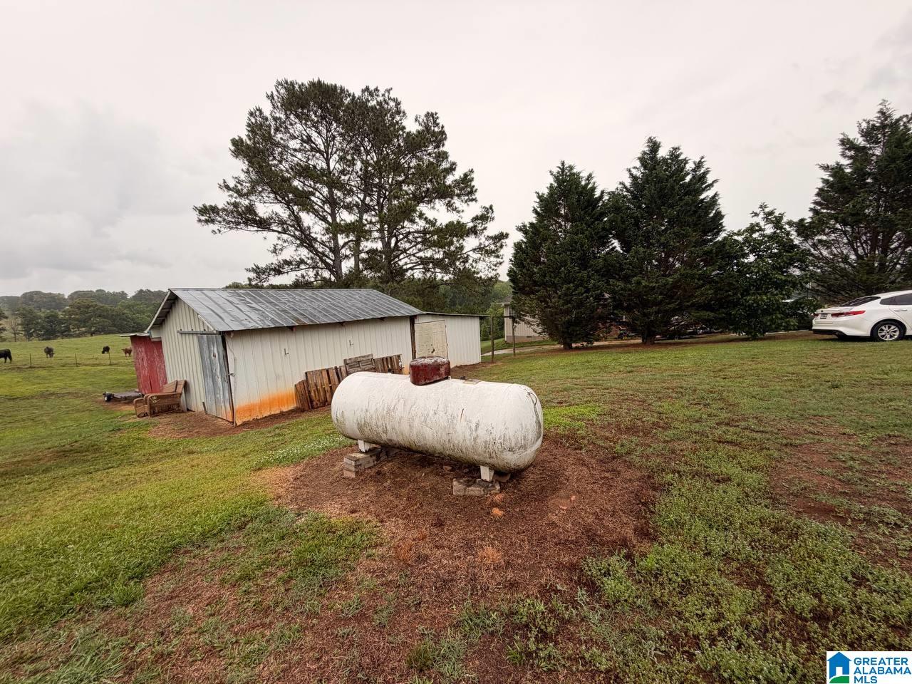 425 County Road 611 Ranburne, AL 36273 - Photo 4 of 5