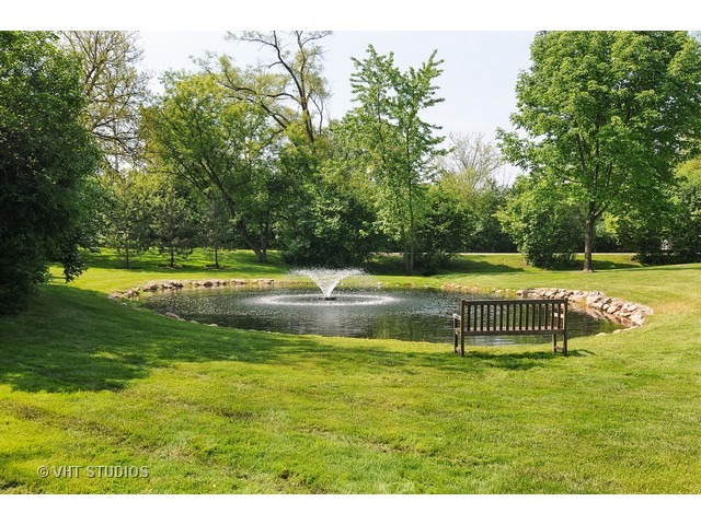 14 West Sunset Road Chicago, IL 60647 - Photo 23 of 25 a view of a swimming pool with a yard and green space