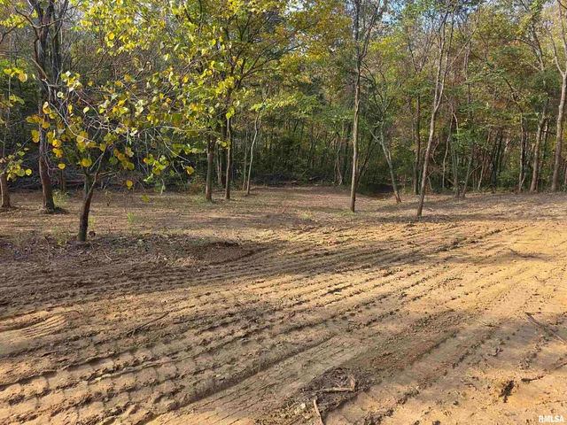 $54,000 | 255 Yellow Springs Road, Elizabethtown, IL 62931