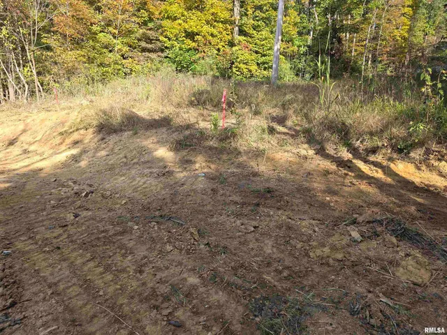 $54,000 | 255 Yellow Springs Road, Elizabethtown, IL 62931