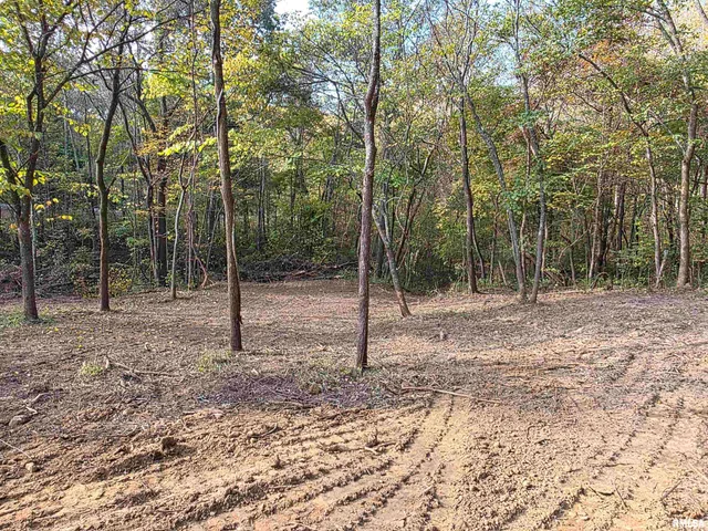 $54,000 | 255 Yellow Springs Road, Elizabethtown, IL 62931