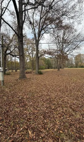 a view of yard with tree