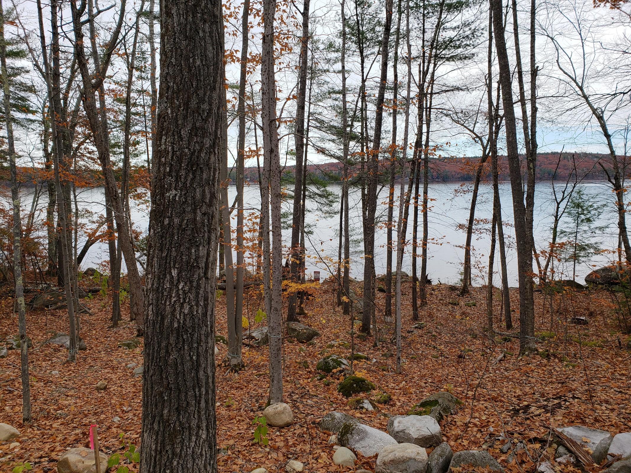 320 Kansas Road Bridgton, ME 04009 - Photo 7 of 7 Courtney_11031_P07_116350
